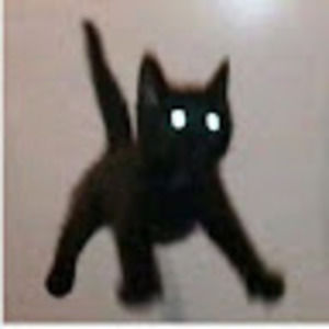 Meet your Posher, Ariel